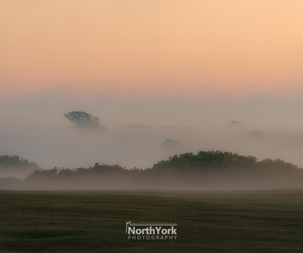 Foggy Sunset at Flamborough Head