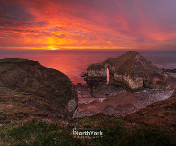 The Drinking Dinosaur at Flamborough Head