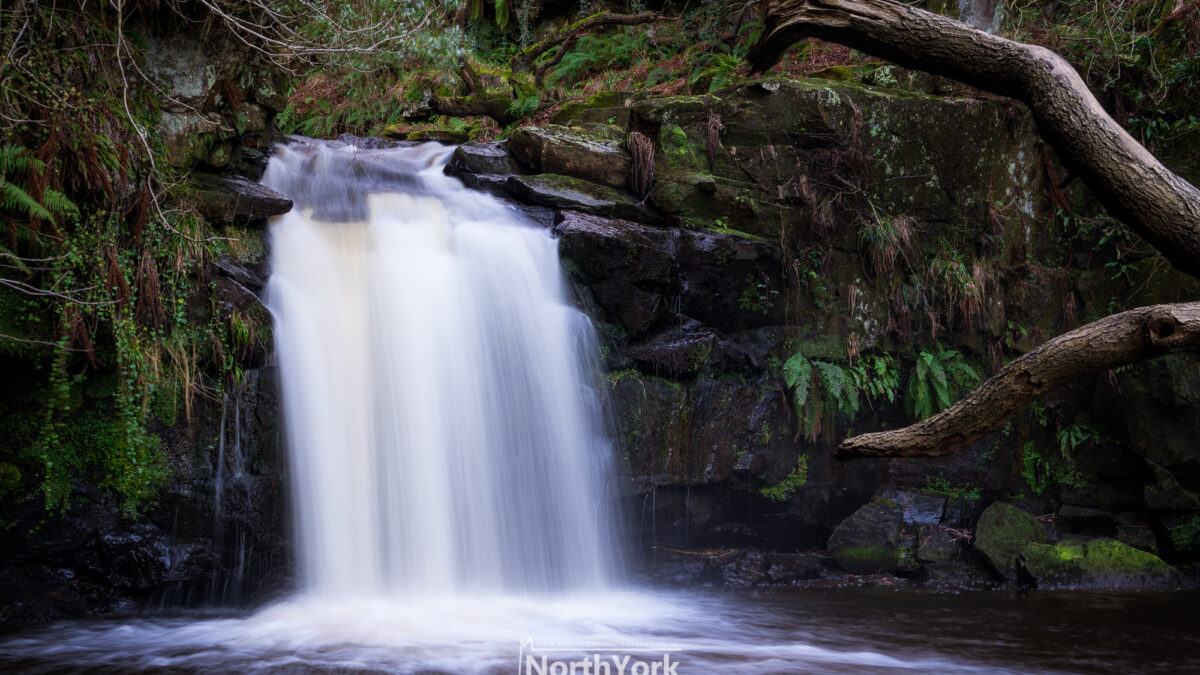 Thomason Foss Waterfall, Goathland
