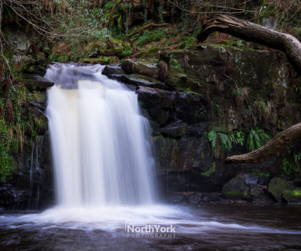 Thomason Foss Waterfall, Goathland