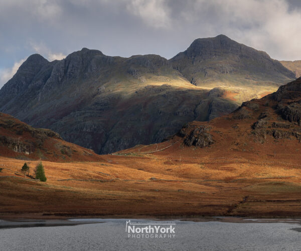 Langdale Pikes, Blea Tarn, Lake District