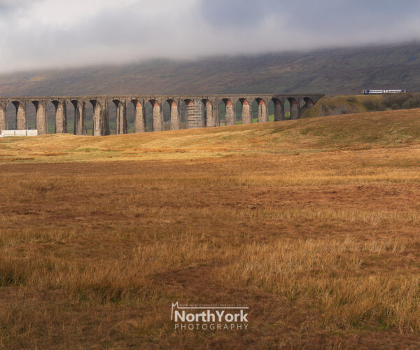 train passing over ribblehead viaduct